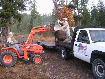 Landscape Work - loading truck