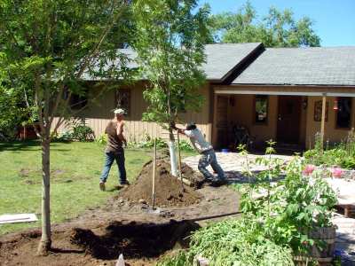 Landscape Work - Patio