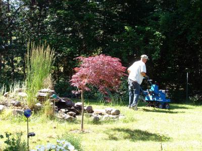 Landscape Work - Overgrown water feature