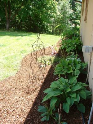 Landscape Work - Overgrown water feature