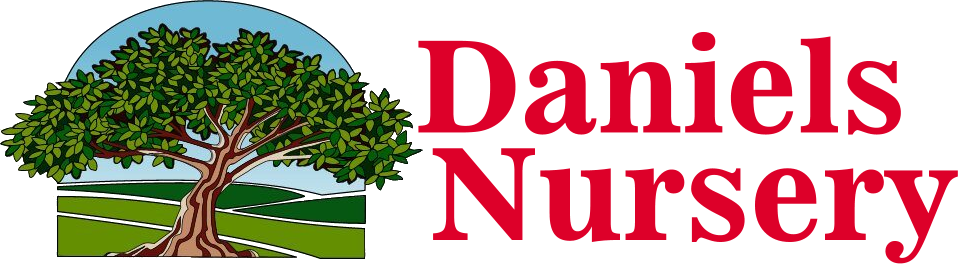 Daniels Nursery